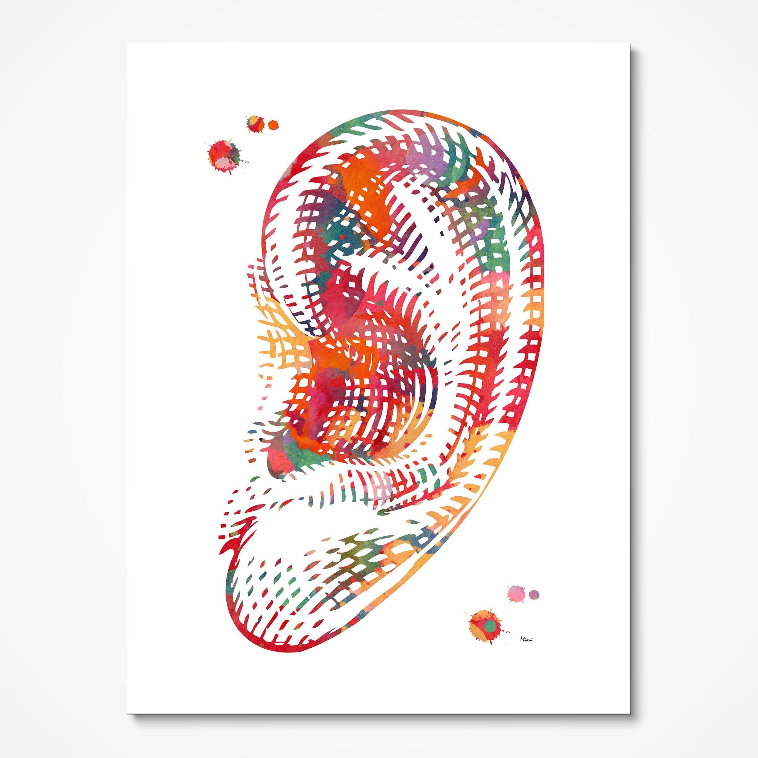 Human Ear Anatomy watercolor art print for audiology clinic wall decor
