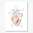 Human heart anatomy watercolor art print for cardiology clinic wall decor