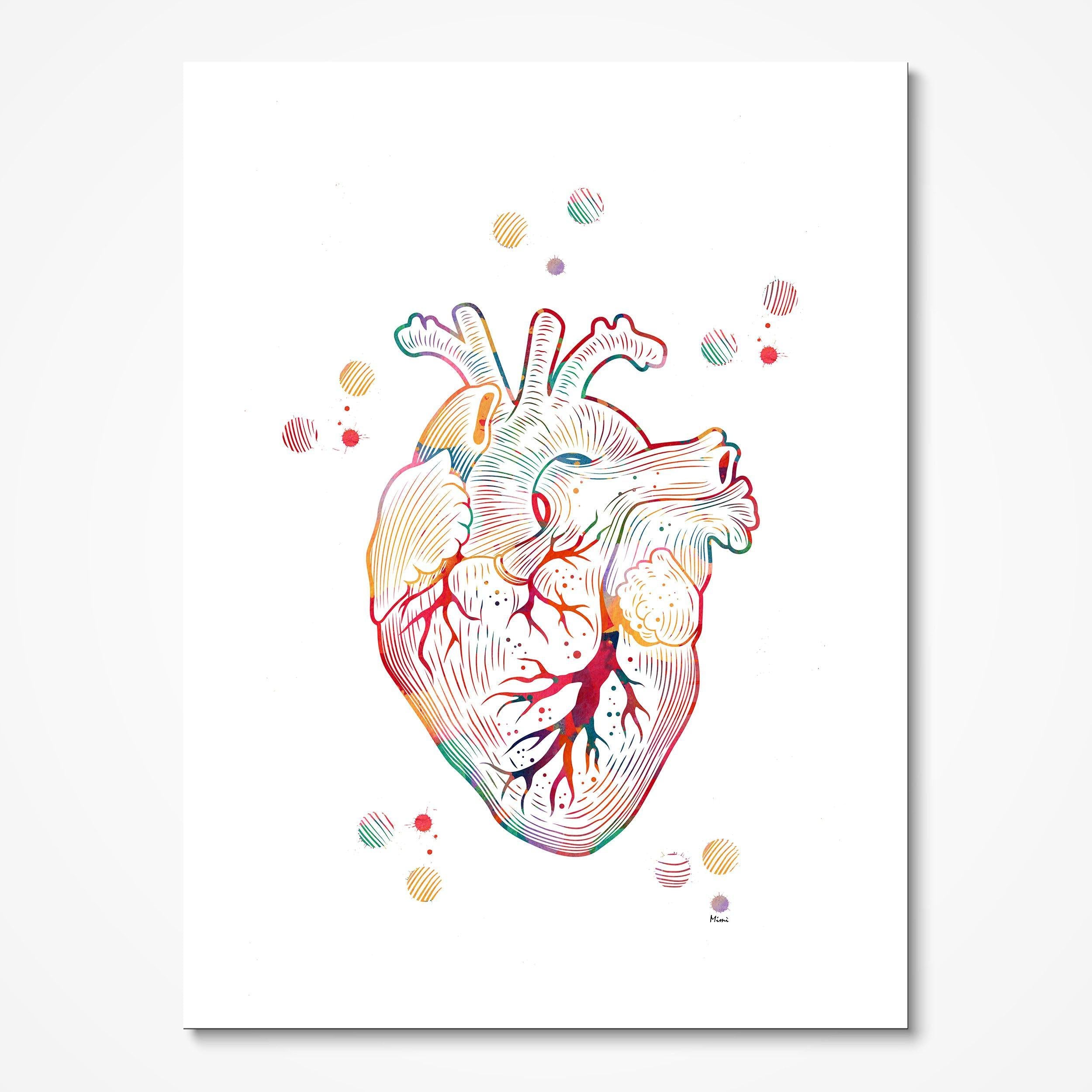 Human heart anatomy watercolor art print for cardiology clinic wall decor
