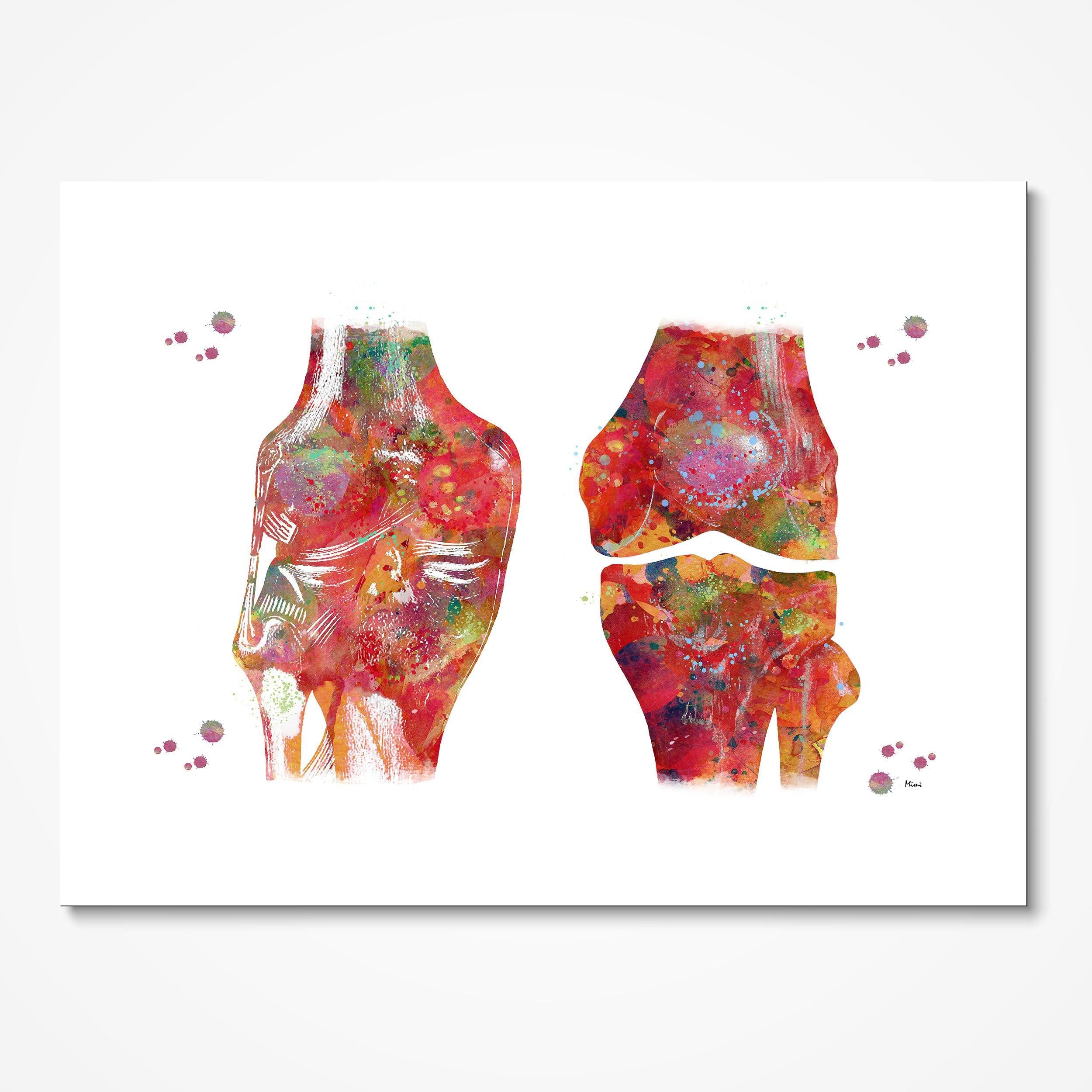 Human Knee Anatomy watercolor art print for orthopedic clinic wall decor