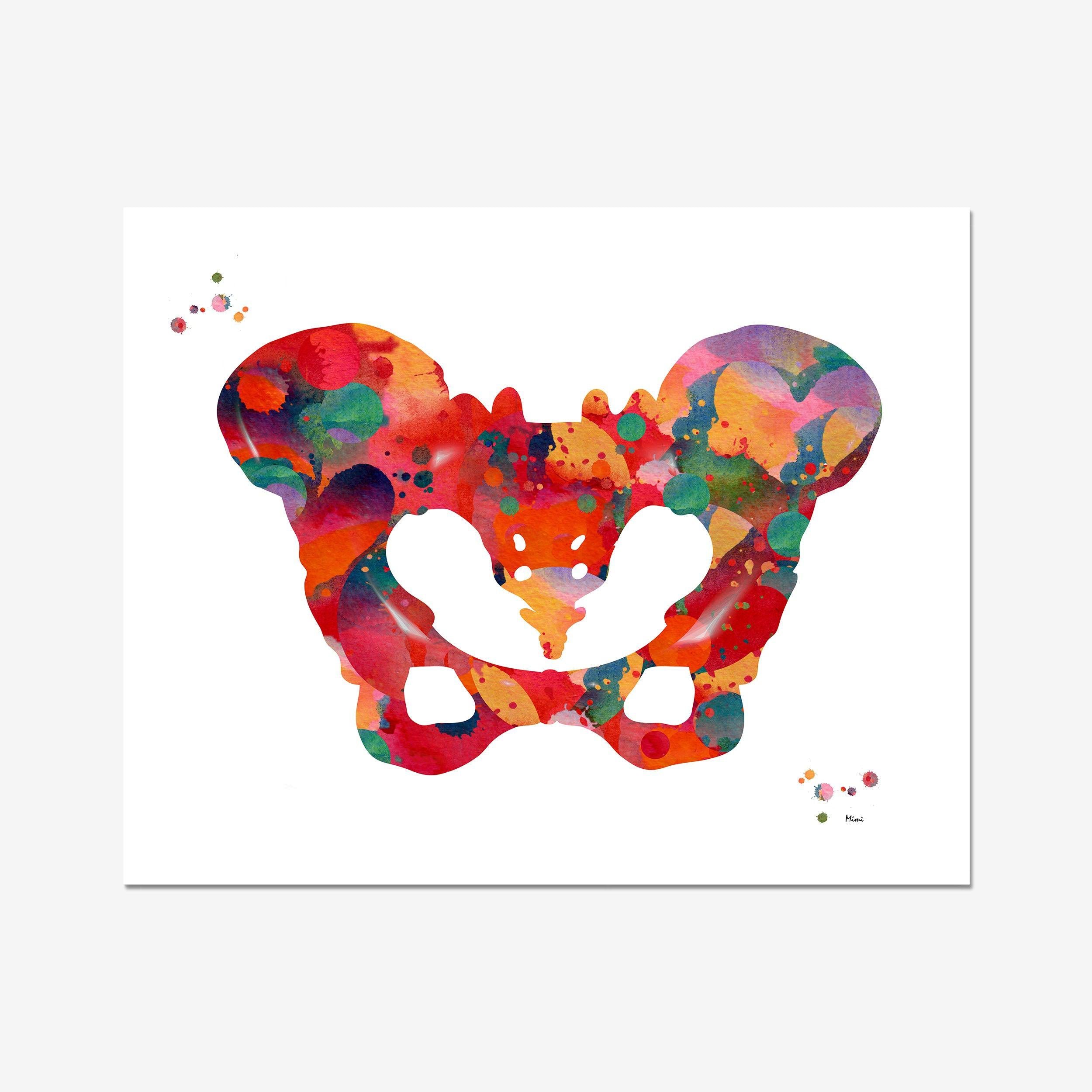 Human Pelvis Anatomy watercolor art print for orthopedic clinic wall decor