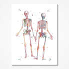 Human Skeleton Anatomy watercolor art print for orthopedic clinic wall decor