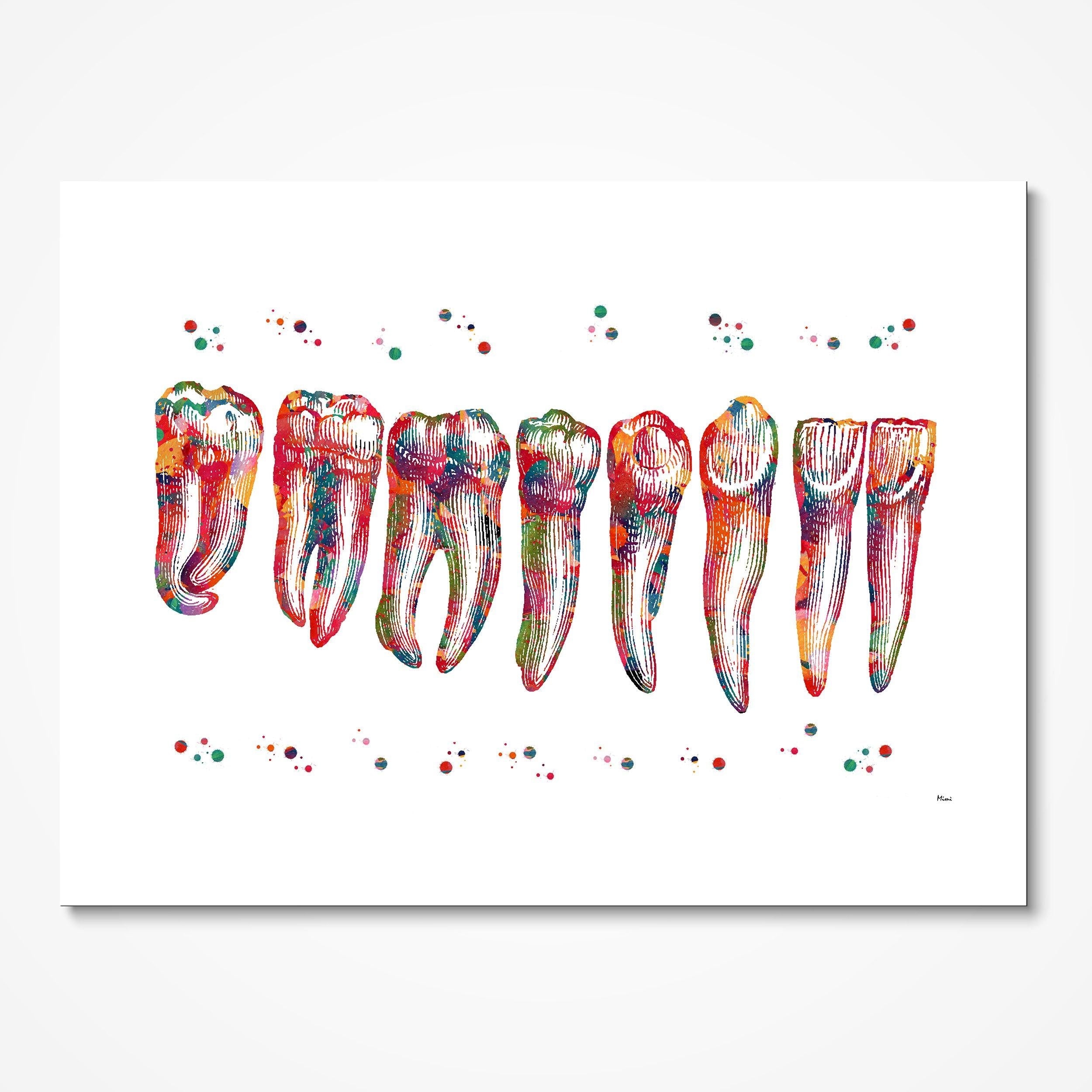 Human Teeth Anatomy watercolor art print for dental clinic wall decor