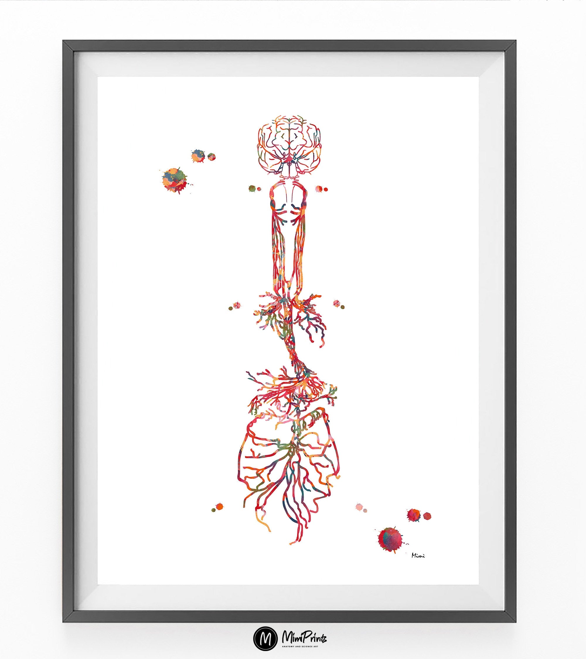 Vagus Nerve Medical Print Vagal Nerves Anatomy Poster Cranial nerve X Watercolor CN X Parasympathetic Nervous System Medical Clinic Decor