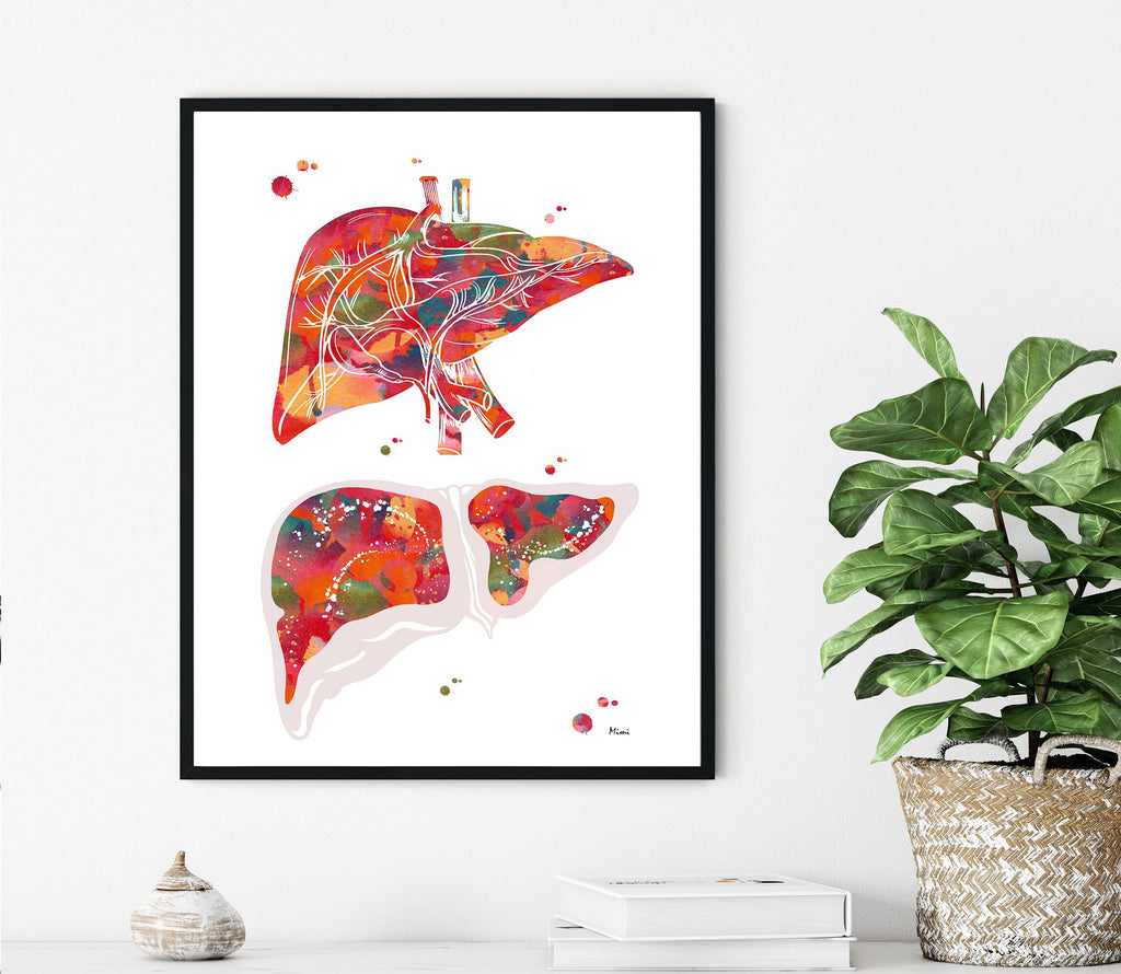 Anatomical Liver Print Medical Watercolor Art Iamge3