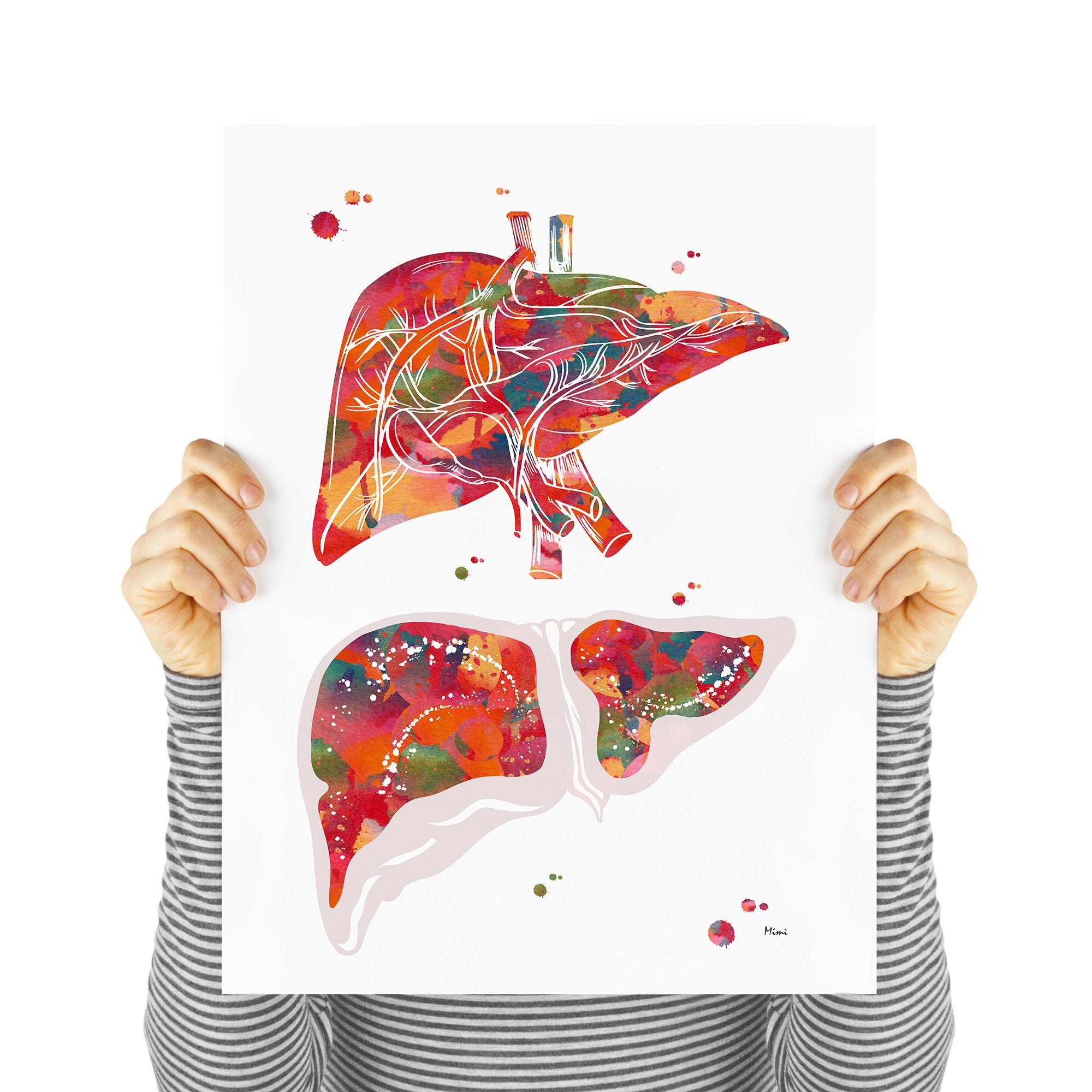 Anatomical Liver Print Medical Watercolor Art Image 2