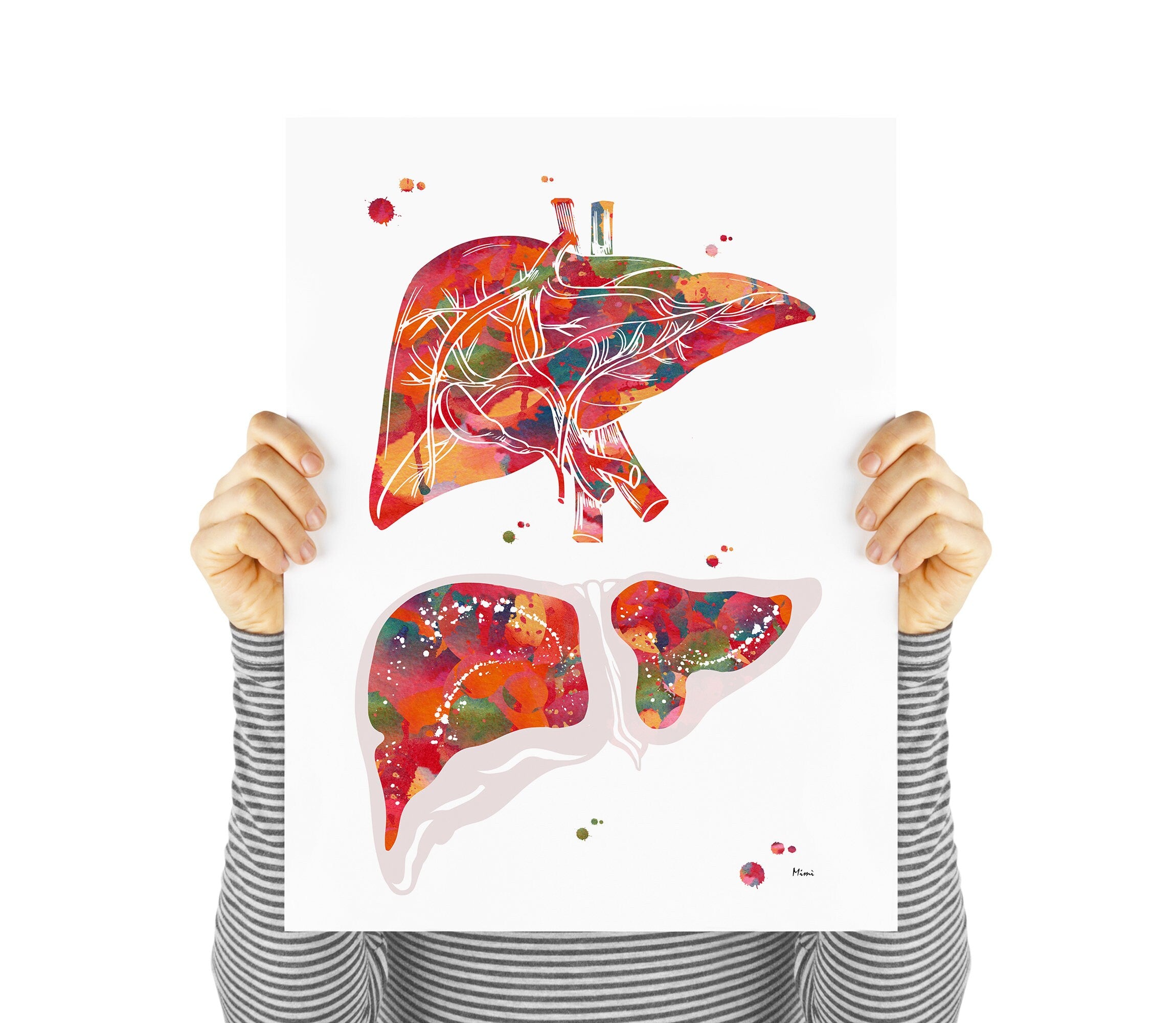 Anatomical Liver Print Medical Watercolor Art Image 2