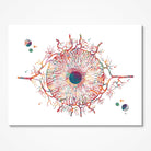 Iris Anatomy watercolor art print for ophthalmology clinic wall decor