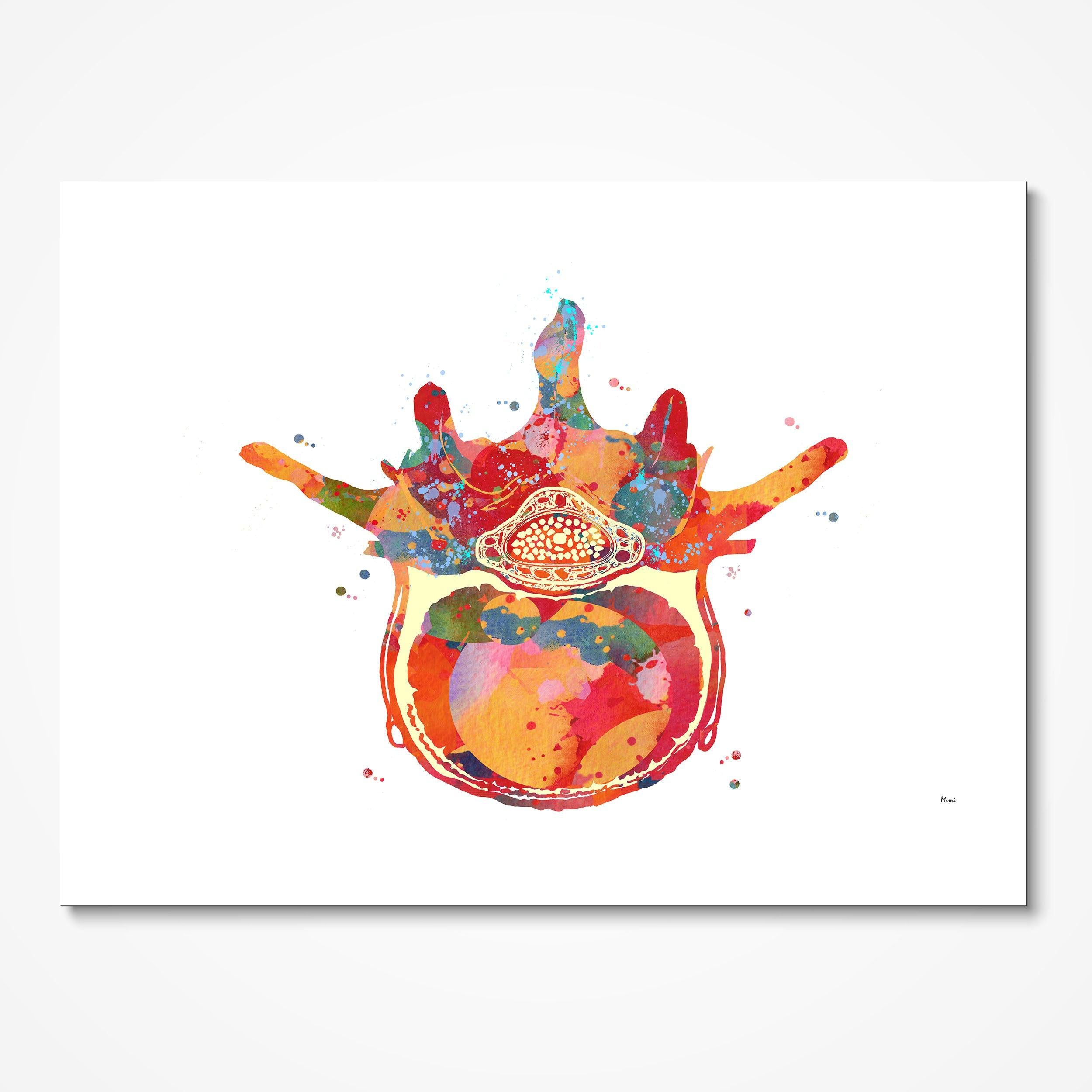 Lumbar Vertebra Anatomy watercolor art print for orthopedic clinic wall decor