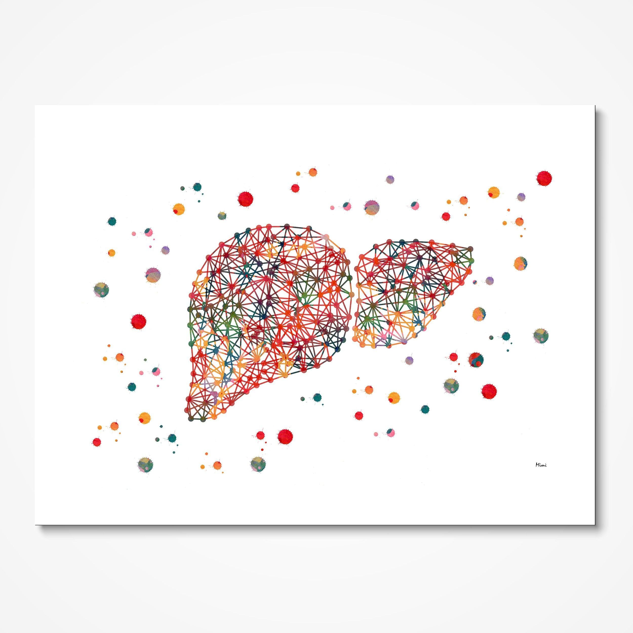 Minimalist Liver watercolor art print for hepatology clinic wall decor