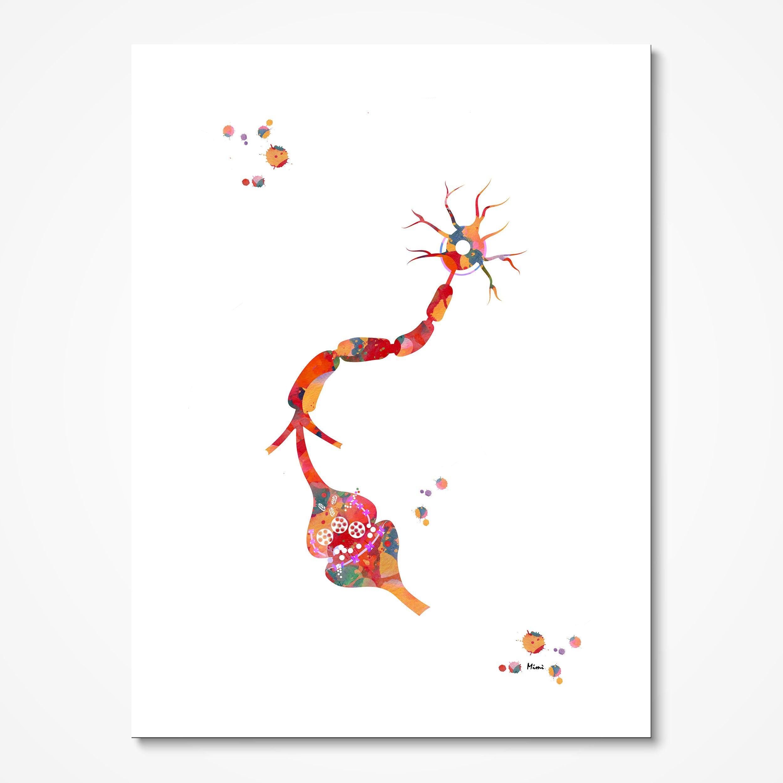 Neuron & Receptor Anatomy watercolor art print for neurology clinic wall decor