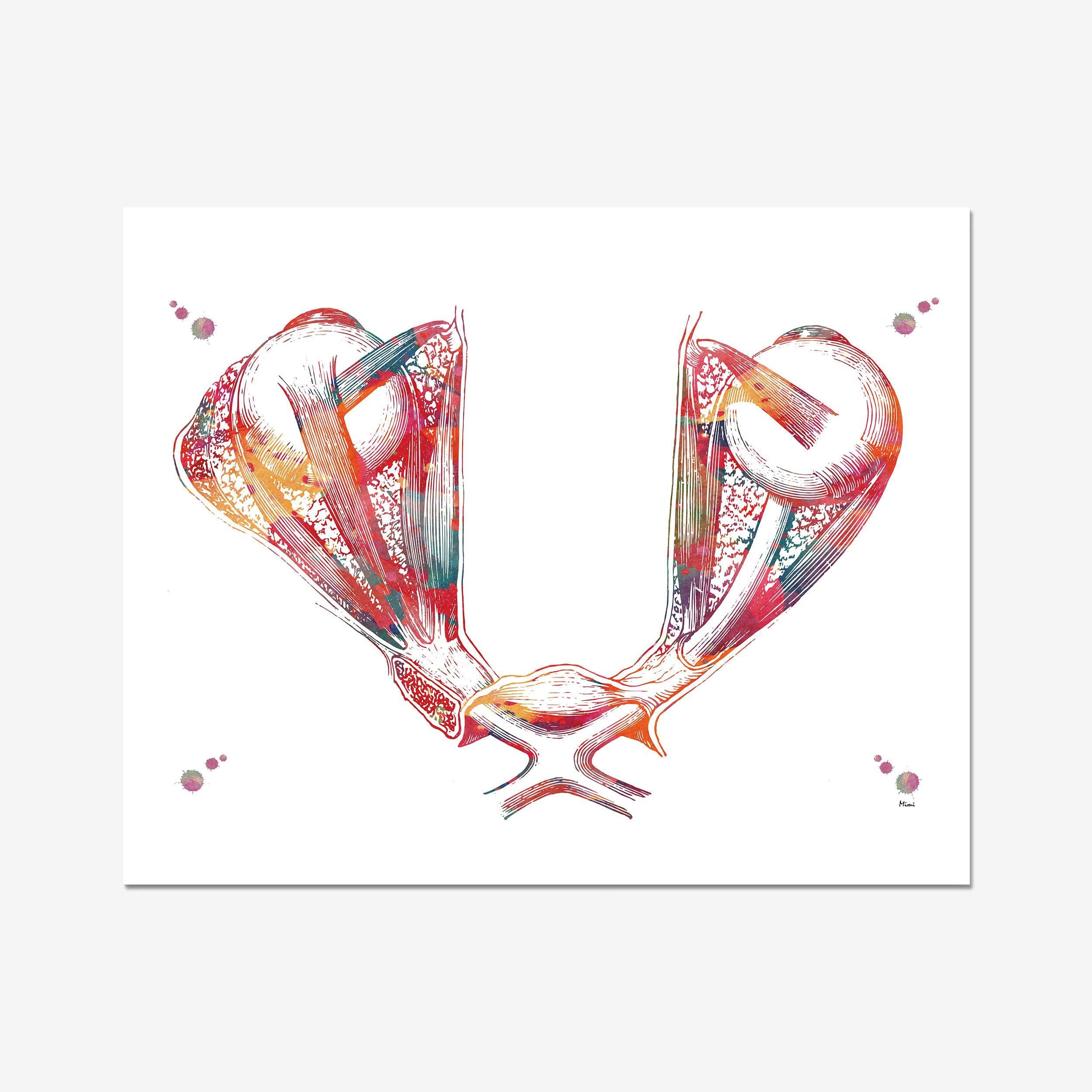 Ciliary Body & Lens watercolor art print for medical clinic wall decor