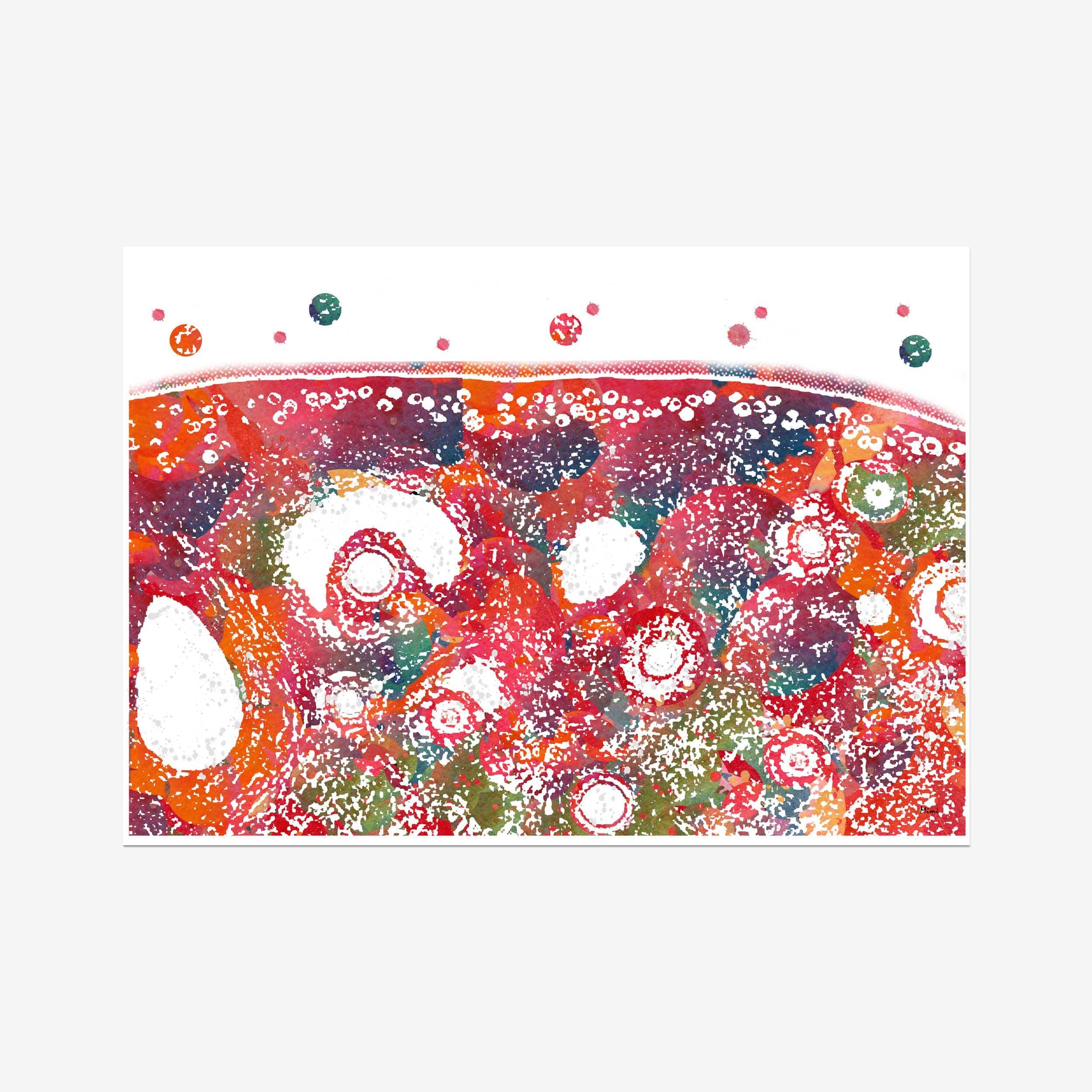 Ovary Cross-Section Histology watercolor art print for OB-GYN clinic wall decor