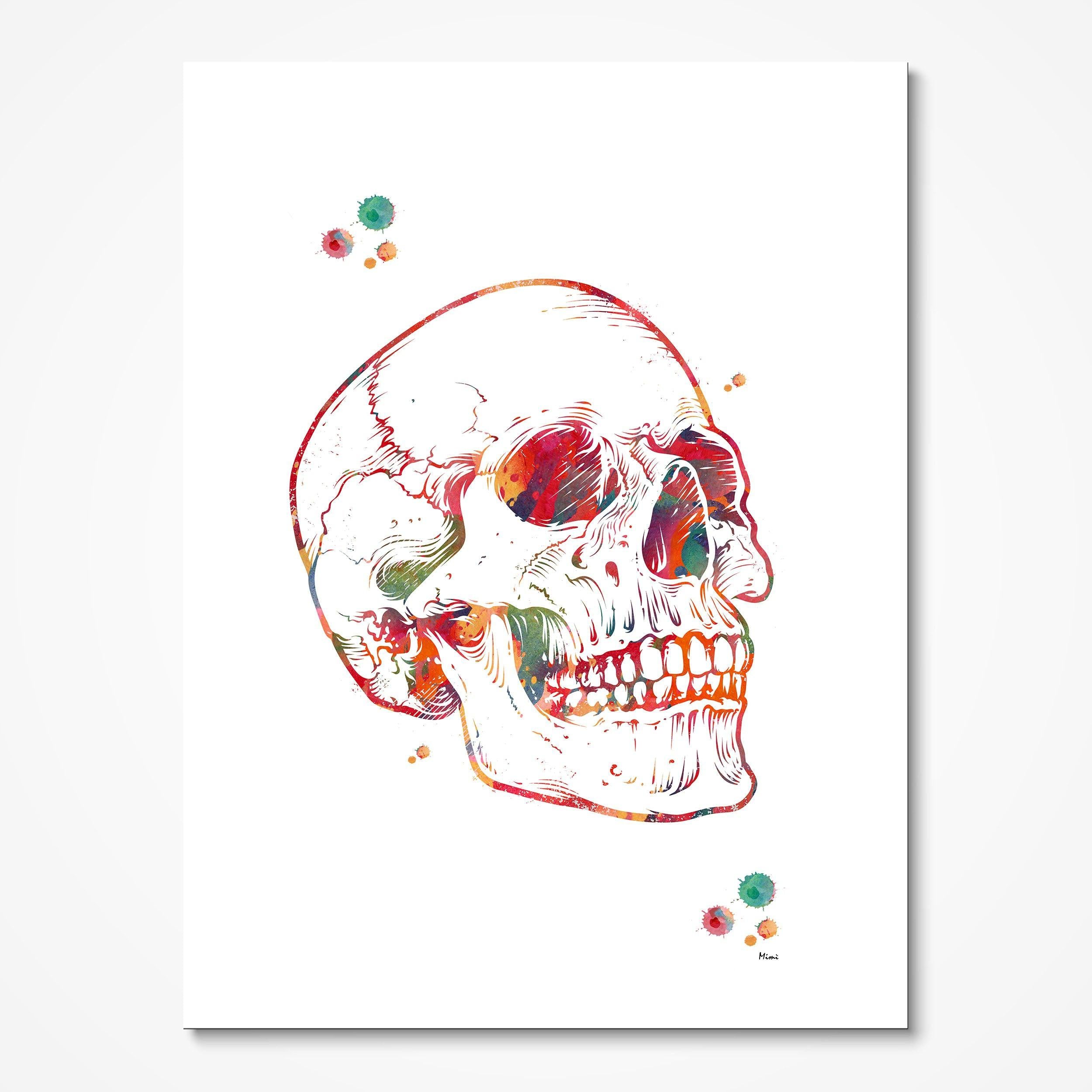 Skull Anatomy watercolor art print for orthopedic clinic wall decor