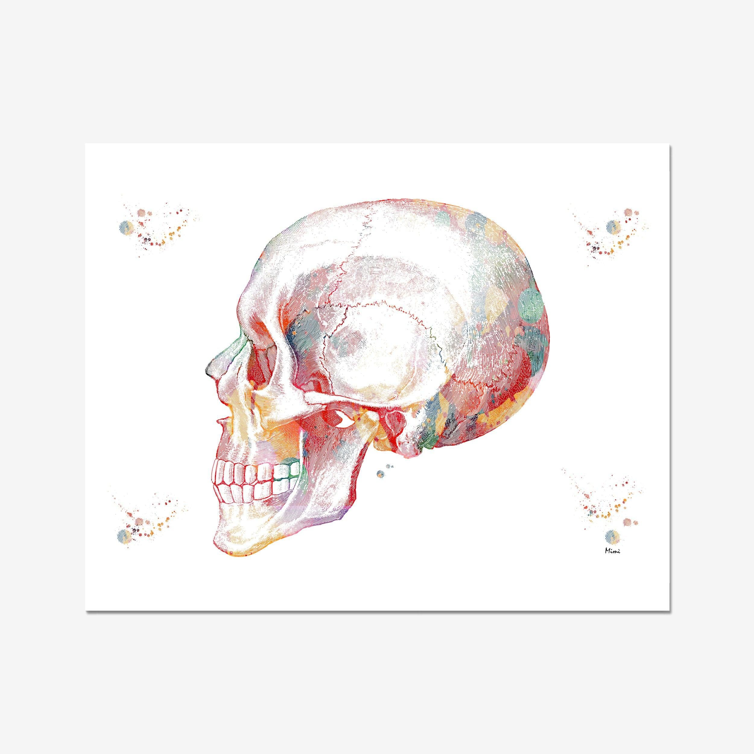 Skull Lateral View watercolor art print for orthopedic clinic wall decor