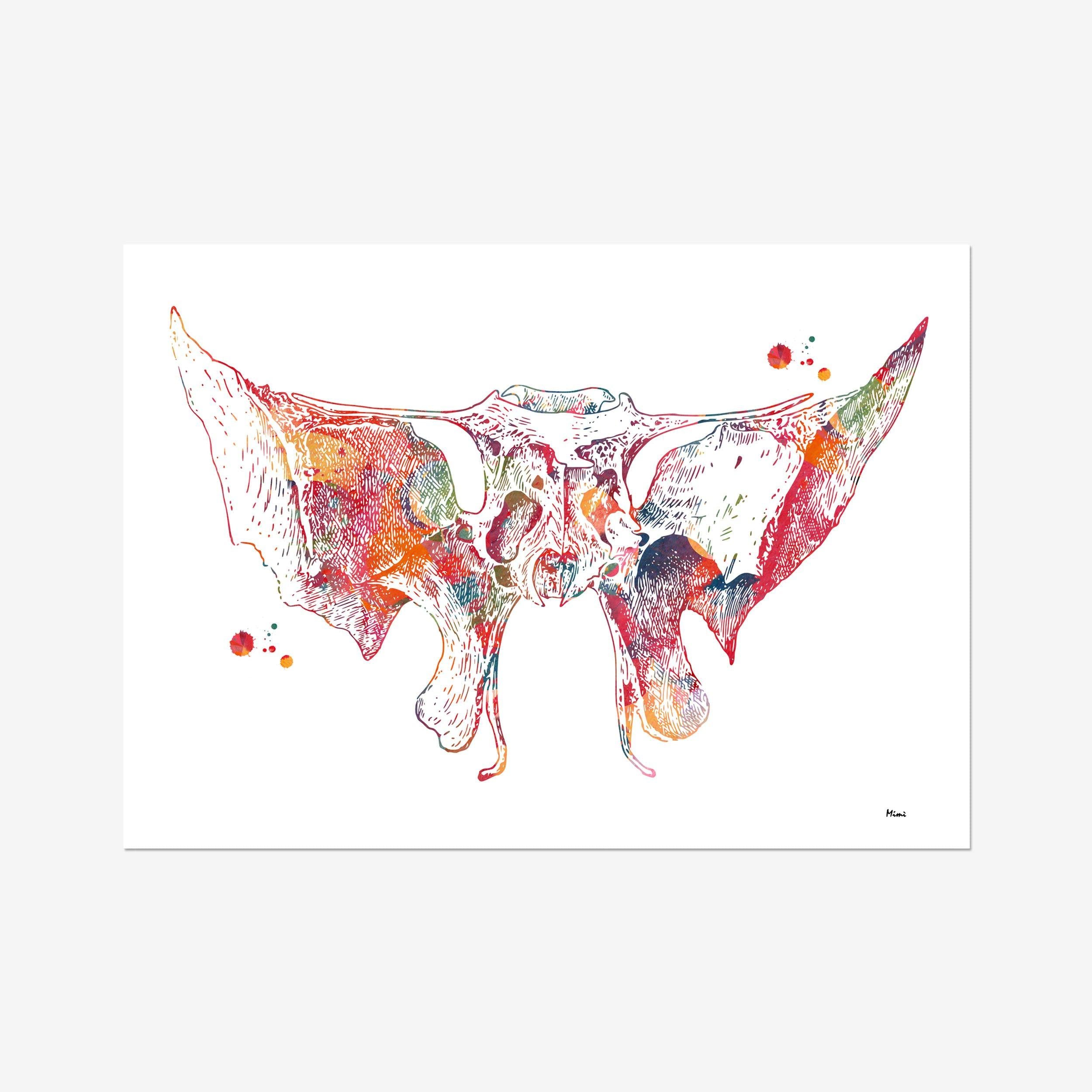 Sphenoid Bone Anatomy watercolor art print for orthopedic clinic wall decor