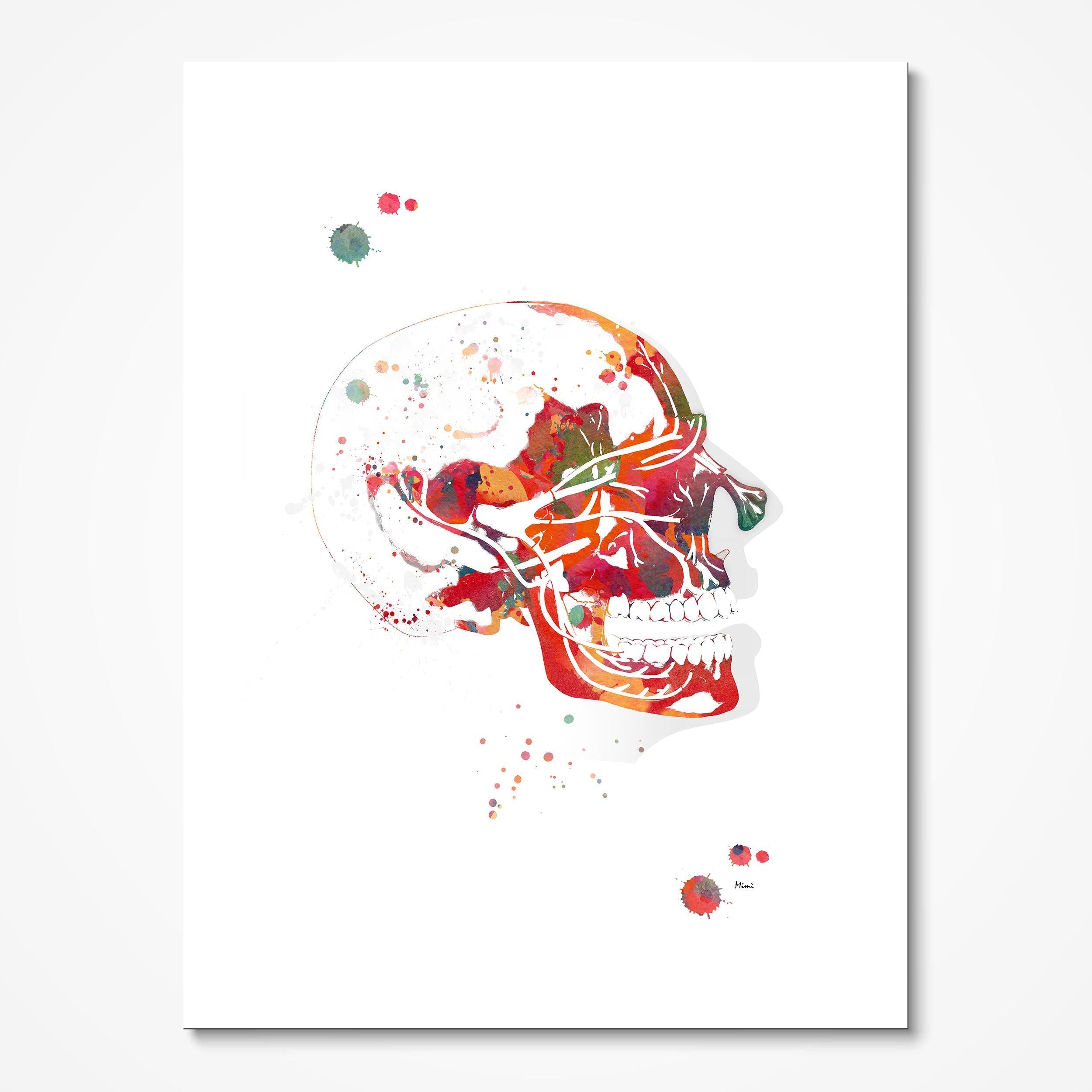 Trigeminal Nerve Anatomy watercolor art print for neurology clinic wall decor